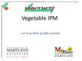 Vegetable IPM PowerPoint PPT Presentation