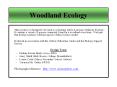 Woodland Ecology PowerPoint PPT Presentation