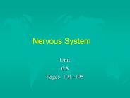 Nervous System