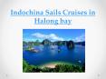 Indochina Sails Cruise in Halong bay PowerPoint PPT Presentation