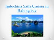 Indochina Sails Cruise in Halong bay