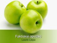 Faktiskie apstakli