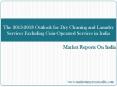The 2013-2018 Outlook for Dry Cleaning and Laundry Services Excluding Coin-Operated Services in India PowerPoint PPT Presentation