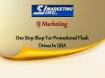 Promotional Flash Drives PowerPoint PPT Presentation