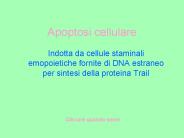 Apoptosi cellulare
