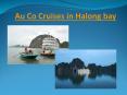 Au Co Cruises in Halong bay PowerPoint PPT Presentation