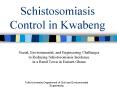 Schistosomiasis Control in Kwabeng PowerPoint PPT Presentation