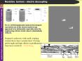 Resistive barriers - electric decoupling PowerPoint PPT Presentation