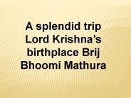 Luxury India Tour