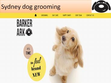 Sydney dog grooming (2)