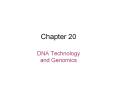 DNA Technology and Genomics PowerPoint PPT Presentation