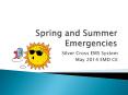 Spring and Summer Emergencies PowerPoint PPT Presentation