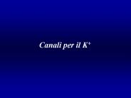 Presentazione di PowerPoint