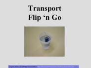 Transport Flip 