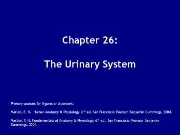 Chapter 26:  The Urinary System