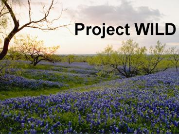 Project WILD