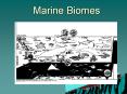 Marine Biomes PowerPoint PPT Presentation