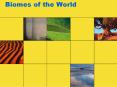 Biomes of the World PowerPoint PPT Presentation