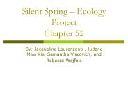 Silent Spring 