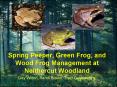 Spring Peeper, Green Frog, and Wood Frog Management at Neithercut Woodland PowerPoint PPT Presentation