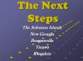 The Next Steps PowerPoint PPT Presentation