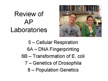 Review of AP Laboratories