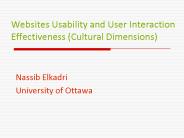 Websites Usability and User Interaction Effectiveness (Cultural Dimensions)