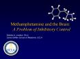 Methamphetamine and the Brain:  A Problem of Inhibitory Control PowerPoint PPT Presentation