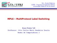 MPLS 