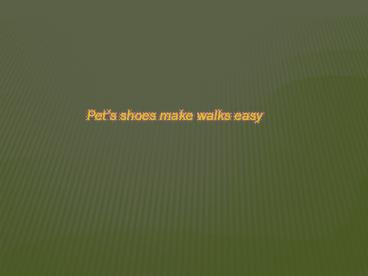 Pet shoes make walks easy