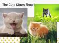 The Cute Kitten Show! PowerPoint PPT Presentation