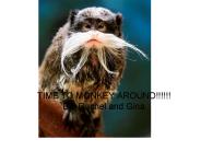 TIME TO MONKEY AROUND!!!!!! By: Rachel and Gina