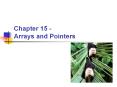 Chapter 15 - Arrays and Pointers PowerPoint PPT Presentation