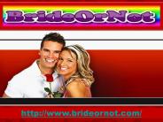 Best Dating Site Online