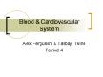 Blood PowerPoint PPT Presentation