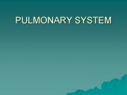 PULMONARY SYSTEM