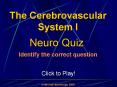 The Cerebrovascular System I: Quiz Game PowerPoint PPT Presentation