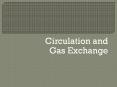 Circulation and Gas Exchange PowerPoint PPT Presentation