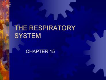 THE RESPIRATORY SYSTEM