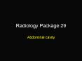 Radiology Package 29 PowerPoint PPT Presentation