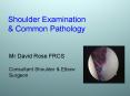 Shoulder Examination PowerPoint PPT Presentation