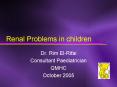 Renal Problems in children PowerPoint PPT Presentation