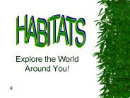 Explore the World Around You!