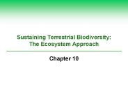 Sustaining Terrestrial Biodiversity: The Ecosystem Approach