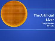 The Artificial Liver
