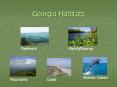 Georgia Habitats PowerPoint PPT Presentation