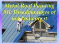 Metal Roof Painting MI: Disadvantages of not knowing it PowerPoint PPT Presentation