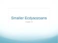 Smaller Ecdysozoans PowerPoint PPT Presentation
