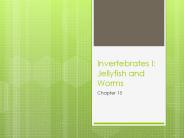 Invertebrates I: Jellyfish and Worms