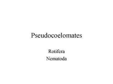 Pseudocoelomates